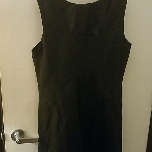 Lane Bryant Raw Silk a line sheath - Picture 2 of 4